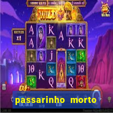 passarinho morto significado espiritual